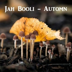 Jah Booli - Automn