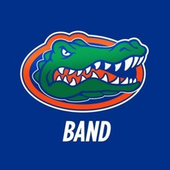 Gator Band 1980 - In The Stone