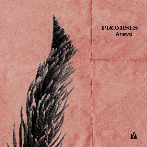 Anevo - Promises