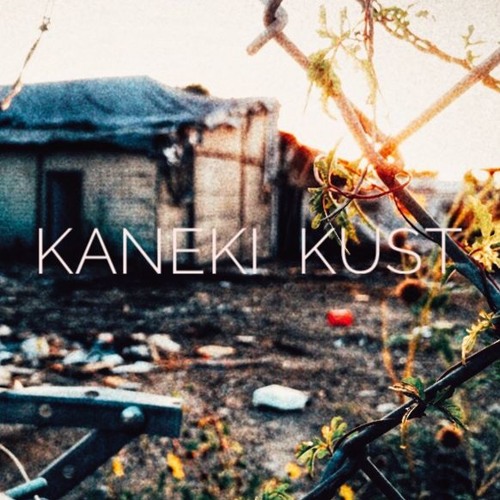 Kaneki - Kust