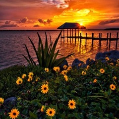 *Home Sweet Home (feat. Mynor G)***FREE DOWNLOAD***