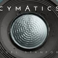 CYMATICS  Science Vs. Music - Nigel Stanford
