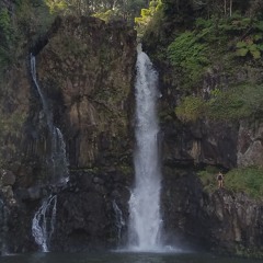 the  girl from the forest