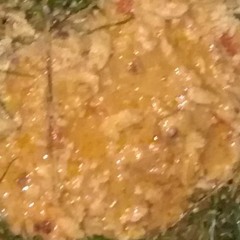 Vomite