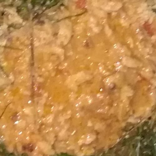 Vomite