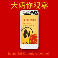 SPLINTERNET 1: 大妈你观察 (Big Mama Is Watching You)