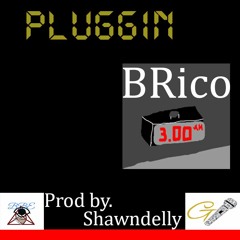 Pluggin-B Rico(Prod By. Shawndelly)