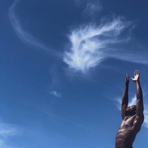 grizzly bear (angus and julia stone)