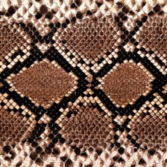 Snake Skin