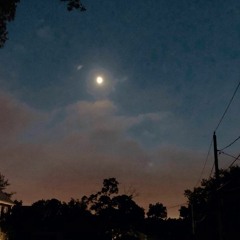 Can’t Believe What You’ve Done