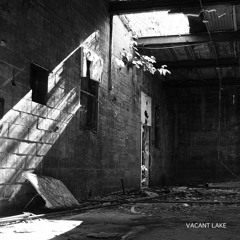 /// Malevolent - Vacant Lake