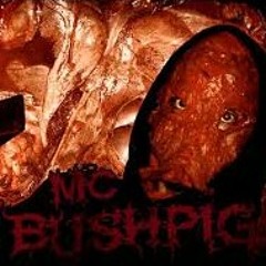 MC Bushpig - Cosmetic Erotic