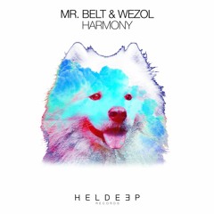 Mr. Belt & Wezol - Harmony [OUT NOW]