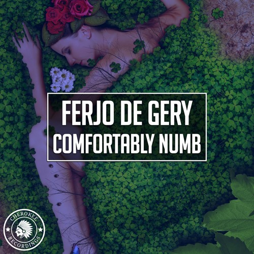 Ferjo De Gery - Comfortably Numb (Original Mix)