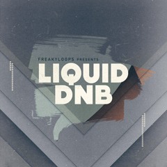 FL166 -  Liquid DnB Sample Pack Demo