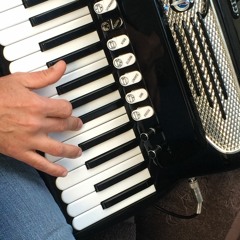 Accordion Player Busking At Lower Queen St Intersection