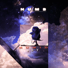 Numb ( Prod.Remedy )