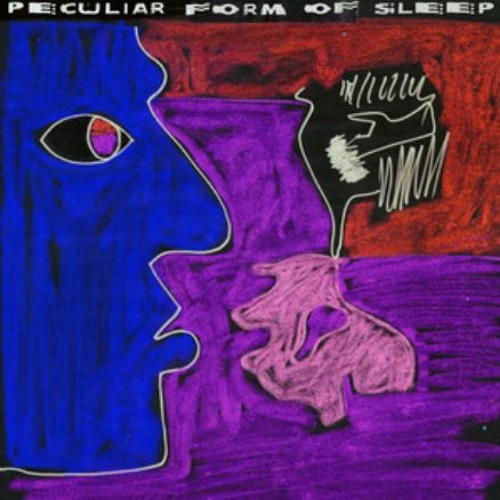 Peculiar Form Of Sleep