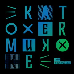 Chris Schwarzwälder - A New Beginning