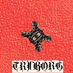 TRIBORG Prod By G-WILLY