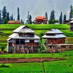 Sahibo