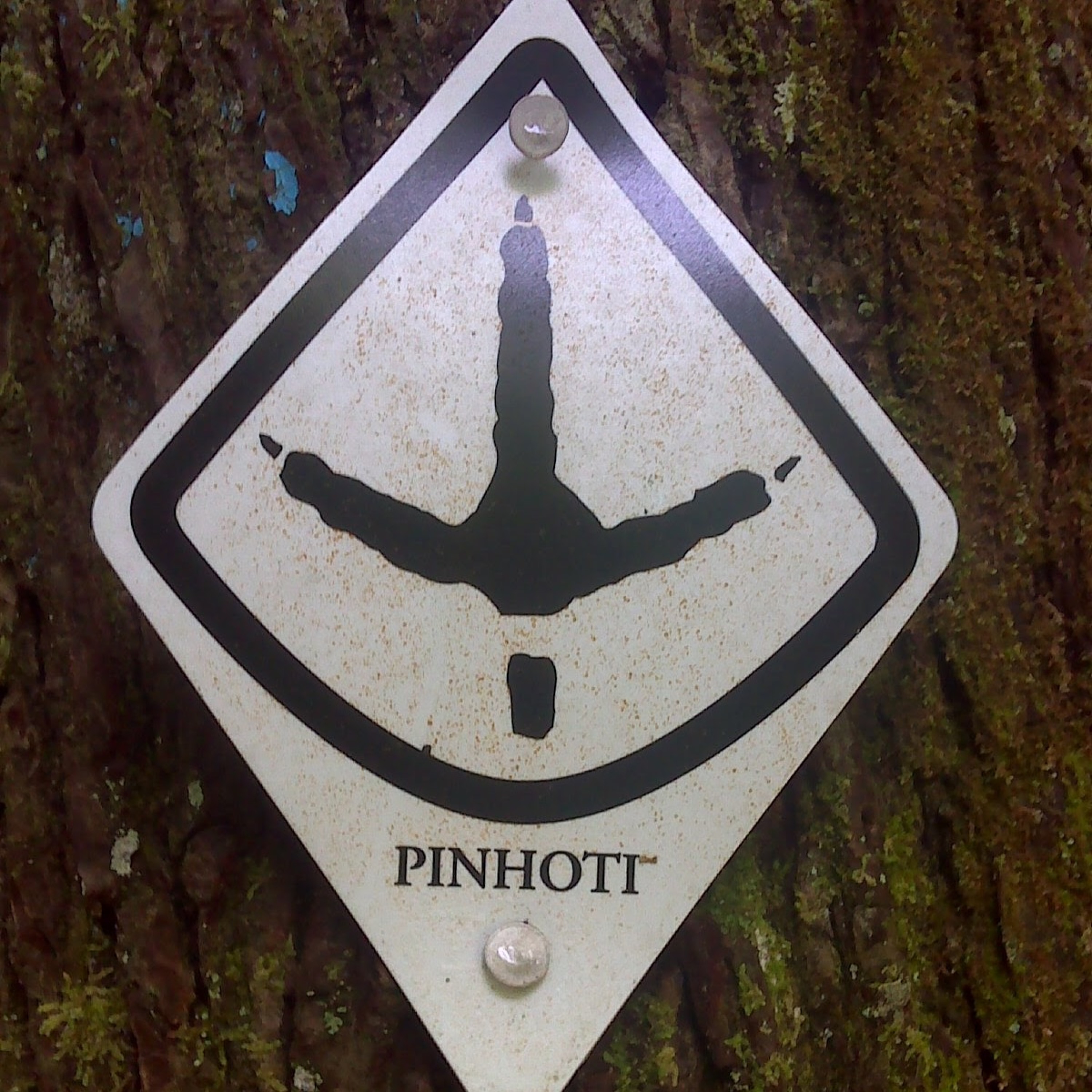 MR111: Do not let Pinhoti Eat You Alive: Running From Aid Station to Aid Station episode artwork