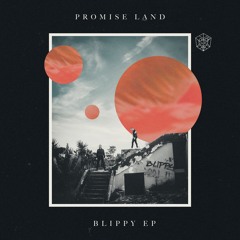 Promise Land - Blippy (Original Mix)