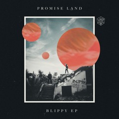 Promise Land - Feel It (Original Mix)