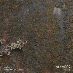 step009 by Yalokin