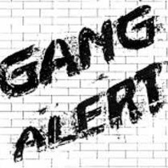 YGizzle x Gang Alert