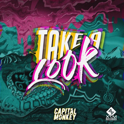 Capital Monkey - Take a Look