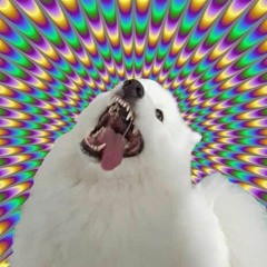 THAT'S MY CRAZY DARK DOG *ᴰᴬᴿᴷᴾᴿᴼᴳ ᴾᴿᴼᴹᴼᵀᴬᴾᴱ*