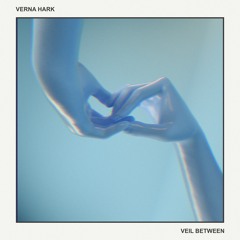 Veil Between