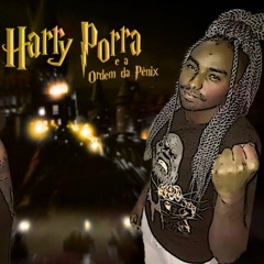 Mc Maha - Harry Porra e a ordem do Penix ( DJ WS )