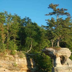 Death And Rebirth As A White Pine On Chapel Rock