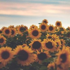 Sunflower (LordTerp's Re-Work)(feat. Isabella Paulina)