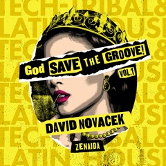DAVID NOVACEK- Zenaida (Original Mix)