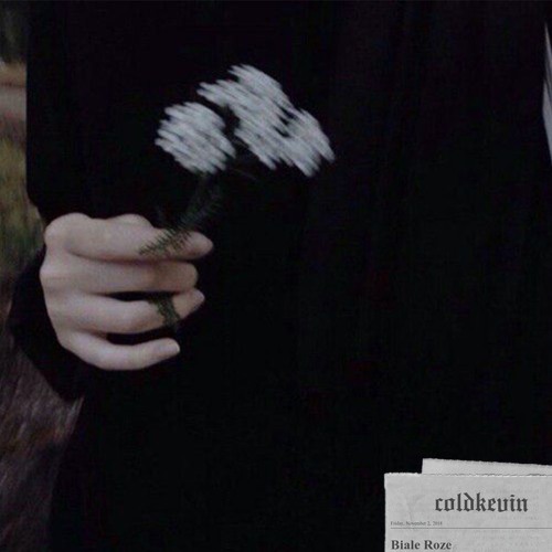 coldkevin - biale roze (prod. lil sp00k)