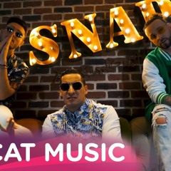 DJ Moh Green feat. Faydee & Young Zerka - BELLY DANCER