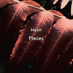 Naytt - Pieces