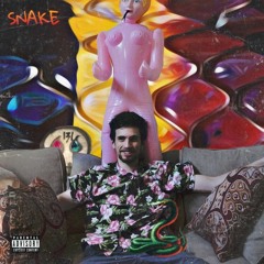 SNAKE (PROD. 13106)