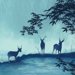 ! روح الغابة - استرخاء