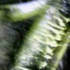 Tone Sensations of the Wondermen