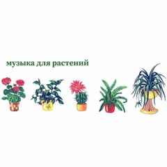 Дезориентация в пространстве