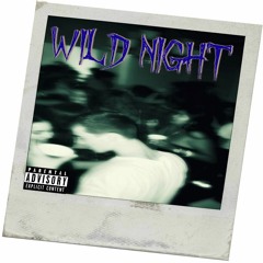 Wild Night (Prod. By Fitz)