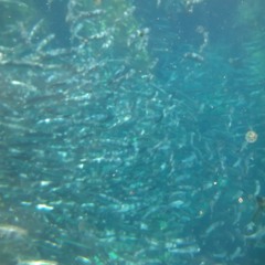 PROFIK - Figured Out (Prod. PROFIKbeats)