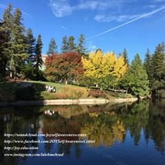 “ميخواهيد موانعتان را رها كنيد؟ آيا ميدانيد چگونه موانع خود را خلق كرده ايد؟" 2 نوامبر 2018