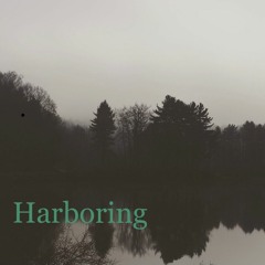 Harboring (prod. Jacob Blueface)