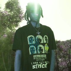 Robb Bank$ - Green