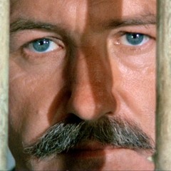 70s Conspiracy Thrillers: THE DOMINO PRINCIPLE